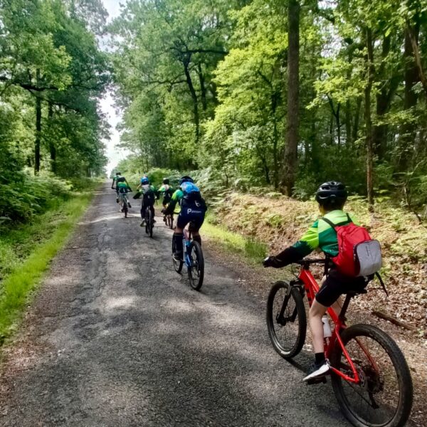 Screenshot_2025-09-03-22-33-47-03_adbcc4bb9c460d910409880e7edd6b8d